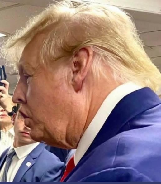 NormaCMachado1's tweet photo. @Damaan4u33 @Steve_H54 The last one is my favorite it says so much about the #Abomination #ConvictedFelon #TraitorInChief #HouseOfTrumpHouseOfLies #RELEASETHETRUMPFILES #ReleasetheUnredactedEpsteinFiles #MelaniaIsNotAVictim #PedoProtector #GOP_PEDO_Protectors https://t.co/oSBUIj4KCs