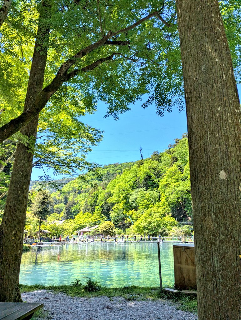 sensuke_jp's tweet photo. 涼を感じれる滋賀のスポット https://t.co/PmAVgikmsT