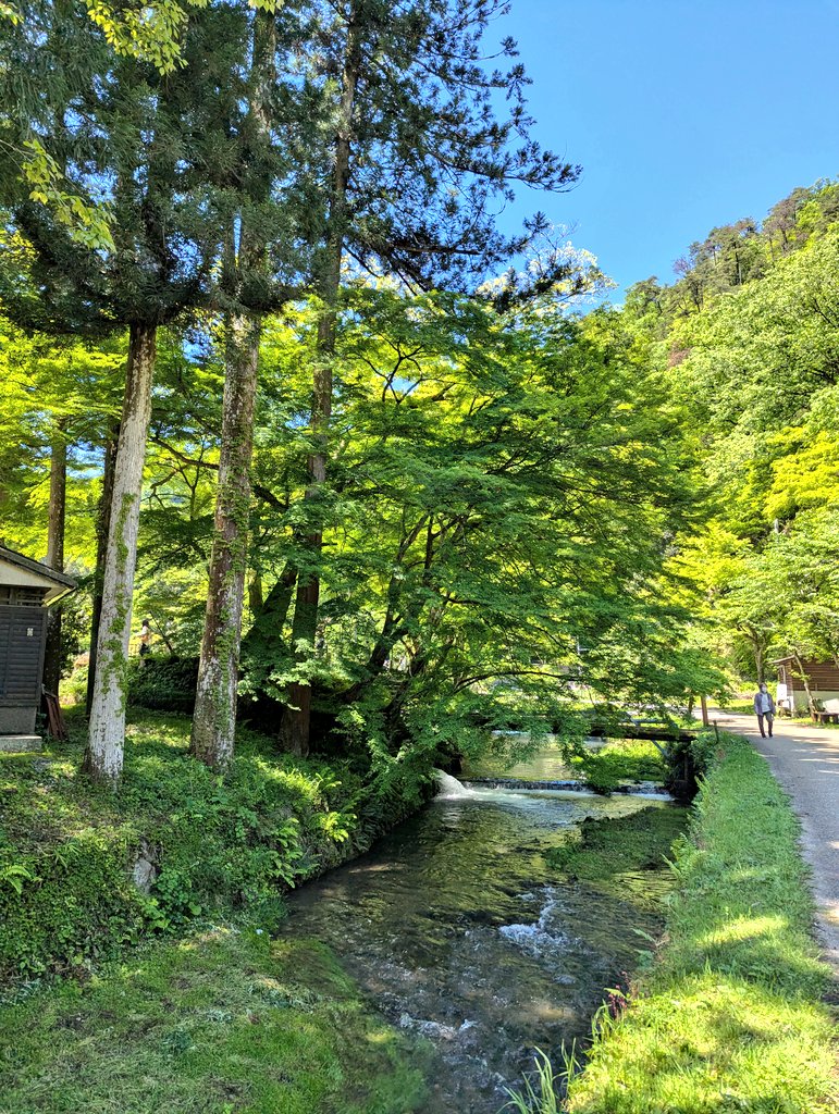 sensuke_jp's tweet photo. 涼を感じれる滋賀のスポット https://t.co/PmAVgikmsT