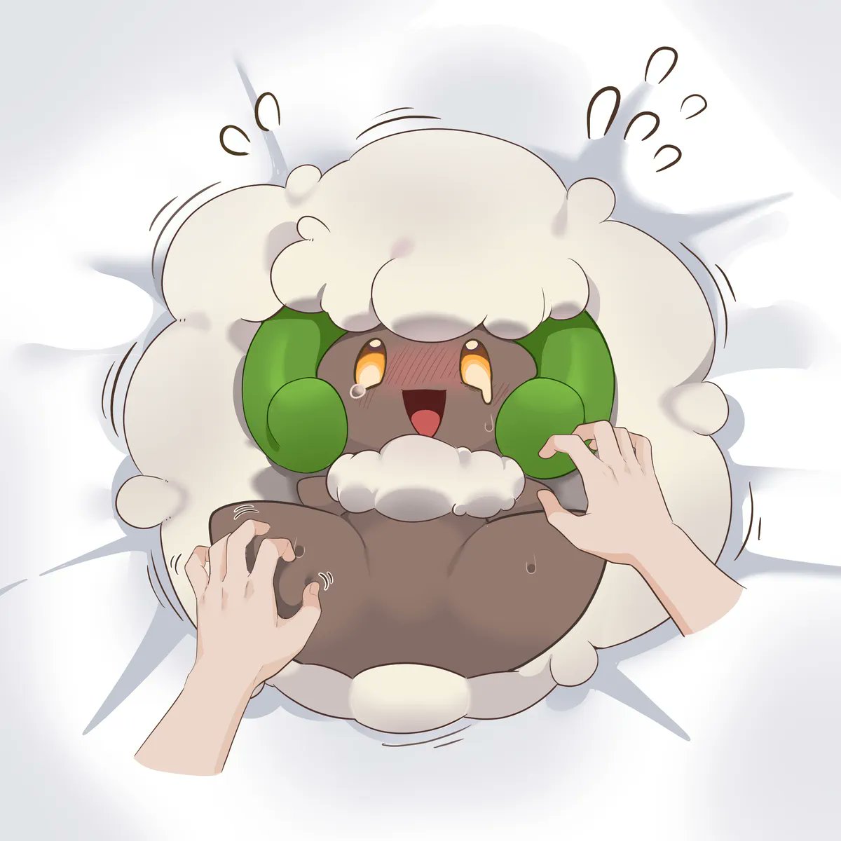 KMP8339's tweet photo. Whimsicott https://t.co/Y6EkKX9QPt