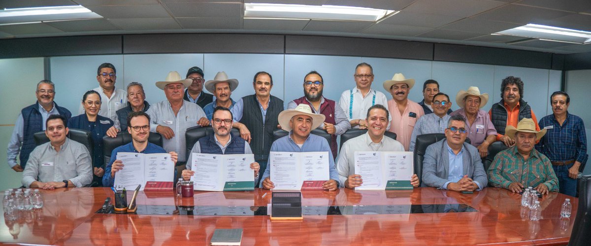 columbalopezg's tweet photo. Gracias al diálogo impulsado por @Agricultura_mex entre el Sistema Producto y @GrupoModelo_MX, se alcanzó un acuerdo histórico para fortalecer la producción nacional de cebada maltera del altiplano. Este acuerdo garantiza la compra inicial de 80 mil toneladas, con posibilidad de ampliar a 15 mil más; además, reduce costos en insumos como la semilla certificada y establece un precio de referencia que asegura ganancias justas para las y los productores en este ciclo 2026.

Con la visión de #ProsperidadCompartida impulsada por nuestra Presidenta @Claudiashein, seguimos construyendo acuerdos que reconozcan el esfuerzo de quienes trabajan la tierra y fortalecen todos los días al campo mexicano.

#TransformandoElCampoMexicano