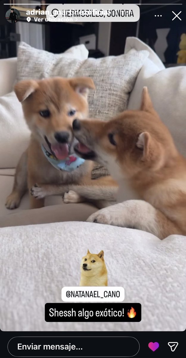 Off leoo tweet media