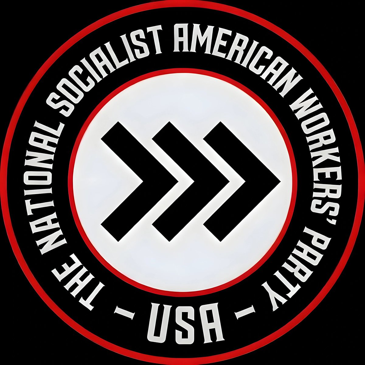 National Socialist American Workers' Party Rky Mnt tweet media