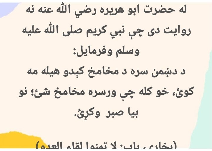 قاري نقیب الله ریحان tweet media