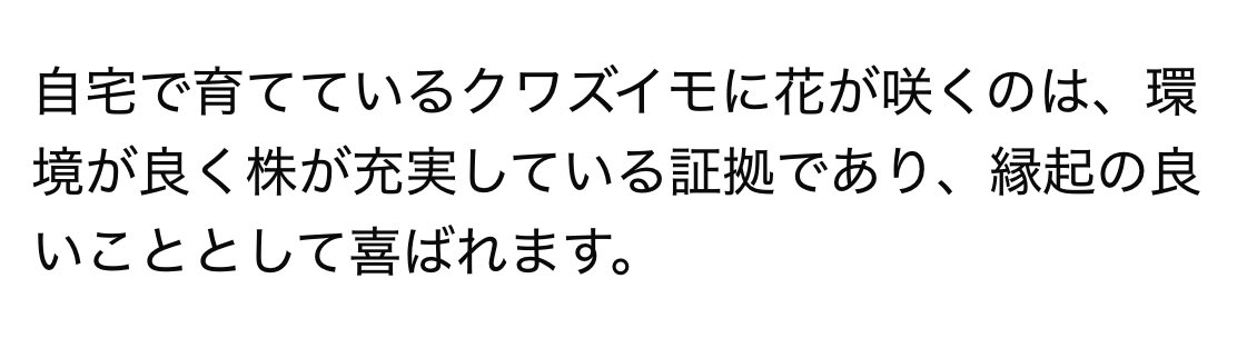 ako_1141's tweet photo. うれしい〜〜☺️🪴

がんばることがいっぱいな今日この頃。この縁起にのっかってひとつひとつやるぞーー！！ https://t.co/izt1EWebQs