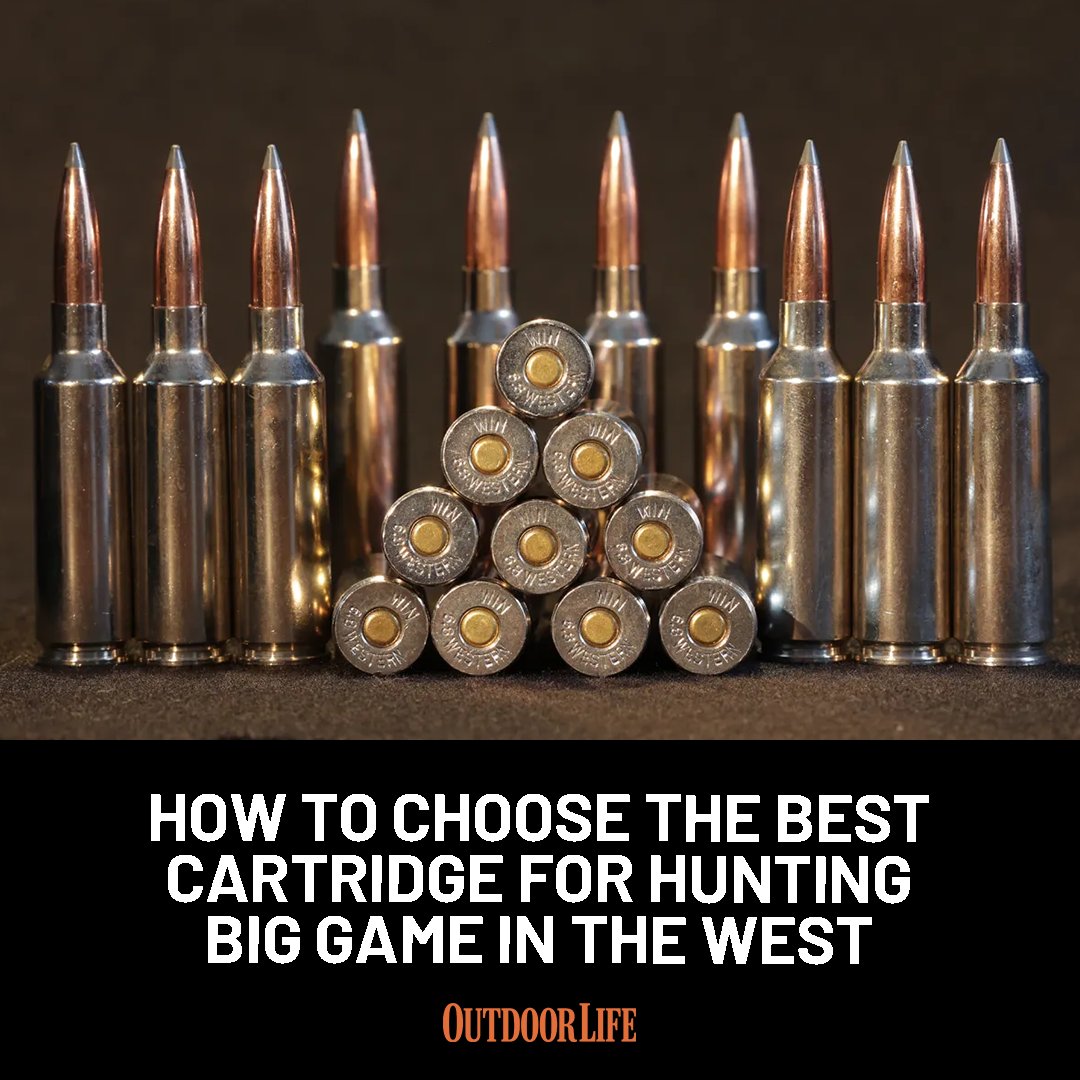 outdoorlife's tweet photo. One cartridge to hunt every big-game species in the West? Yes, it is possible: https://t.co/X2ZZ3GrgLh https://t.co/b2WnS2gdqg
