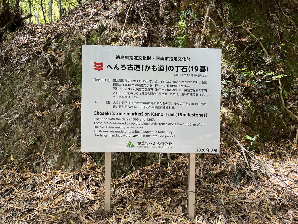 ひろし くま tweet media