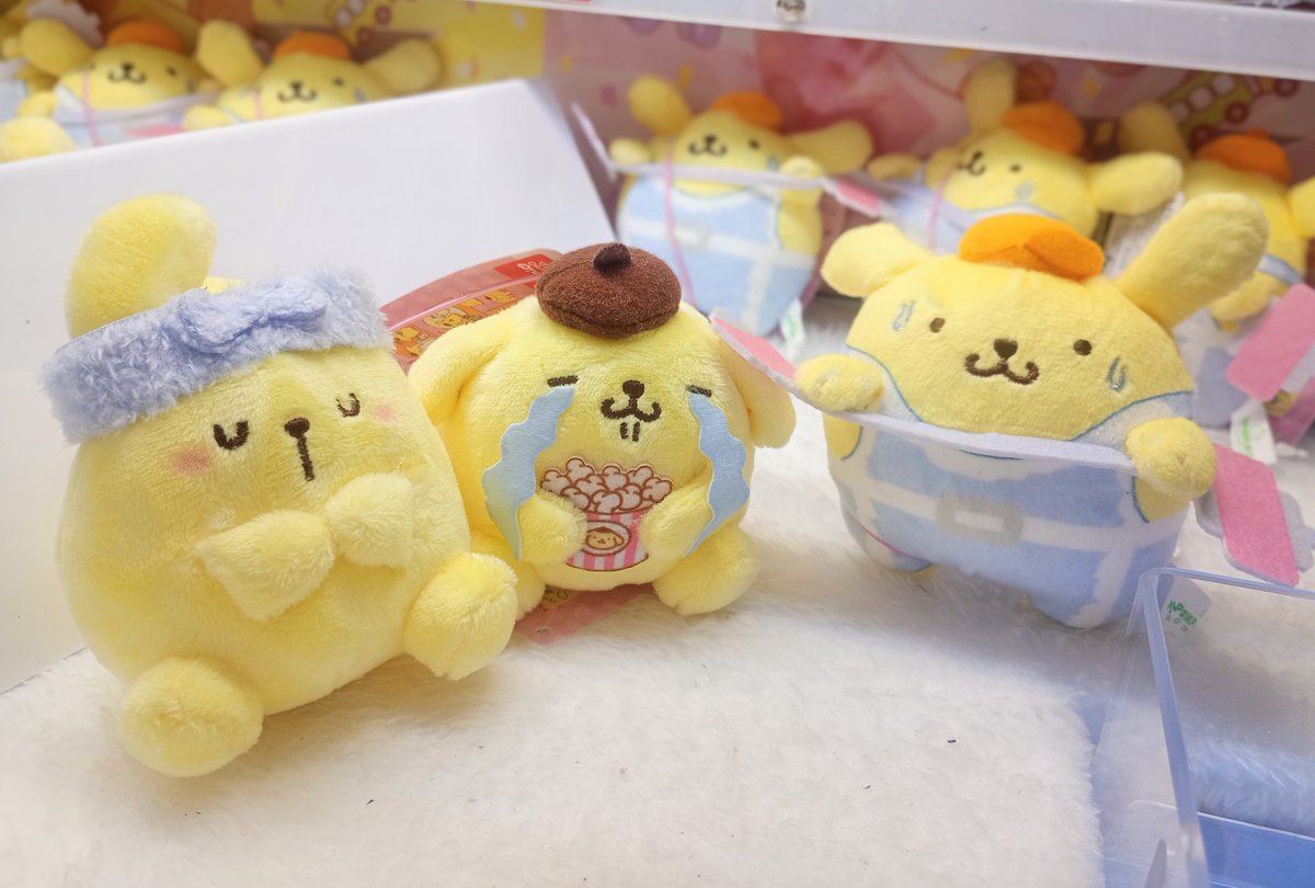 🍮再入荷🍮₊˚✩彡 #ポムポムプリン 🐶🐾 × #ラウンドワン限定プライズ