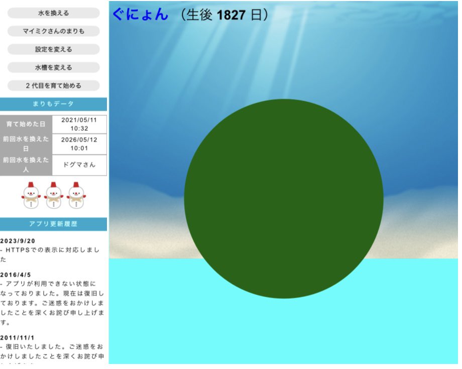 doguma_r's tweet photo. mixiのまりも　5歳になってた https://t.co/j5y4yrwwl8