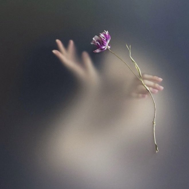 RoseW1530452's tweet photo. •
—————- 🍃🌸🍃🌸🍃
After all,

we are 
nothing more or less 

than 
we choose to reveal.

— Sylvia Plath
————————- 🍃🌸🍃🌸🍃
•
©️Ziqian Liu https://t.co/ZCHvvCiQuC