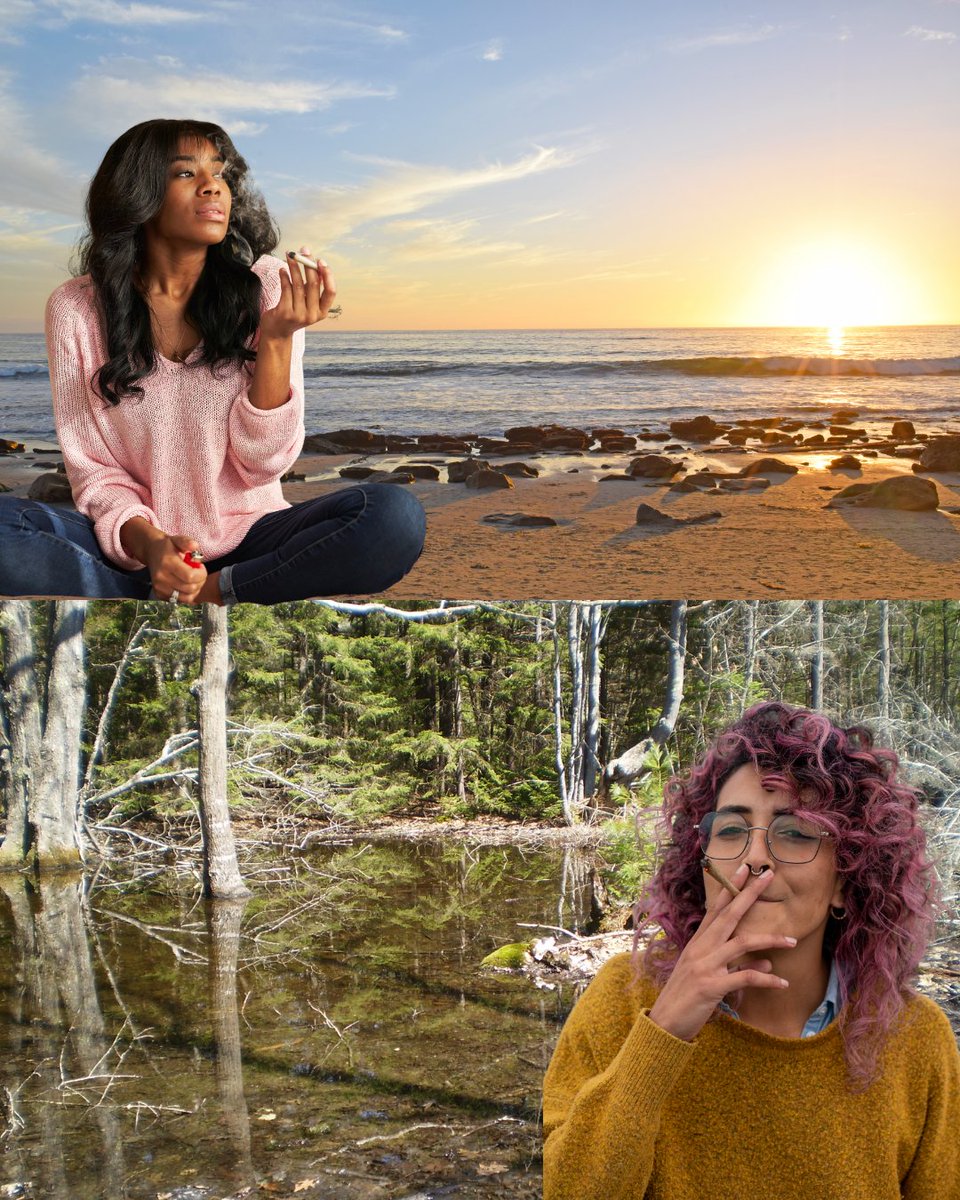 RMJ_Cannabis's tweet photo. Portland debate 
🌲Beach smoke session or woods smoke session? #PortlandME #MaineVibes #CannabisCommunity @elevatedgreenme @island_herbz @420prettygirls @mainetrees https://t.co/VSmsa1U53R
