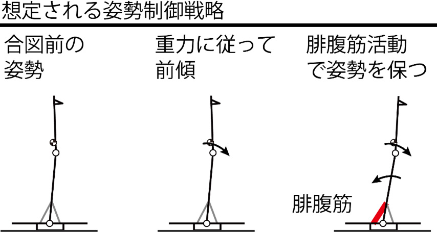 uectokyo's tweet photo. 【ニュースリリース】人の姿勢はこれから起こる乱れにどのように備えているのか？ 重力を活用した姿勢調整が自然に現れる予測的姿勢制御の仕組みを解明
https://t.co/7ske9b2Txa https://t.co/fmzLLZDskd