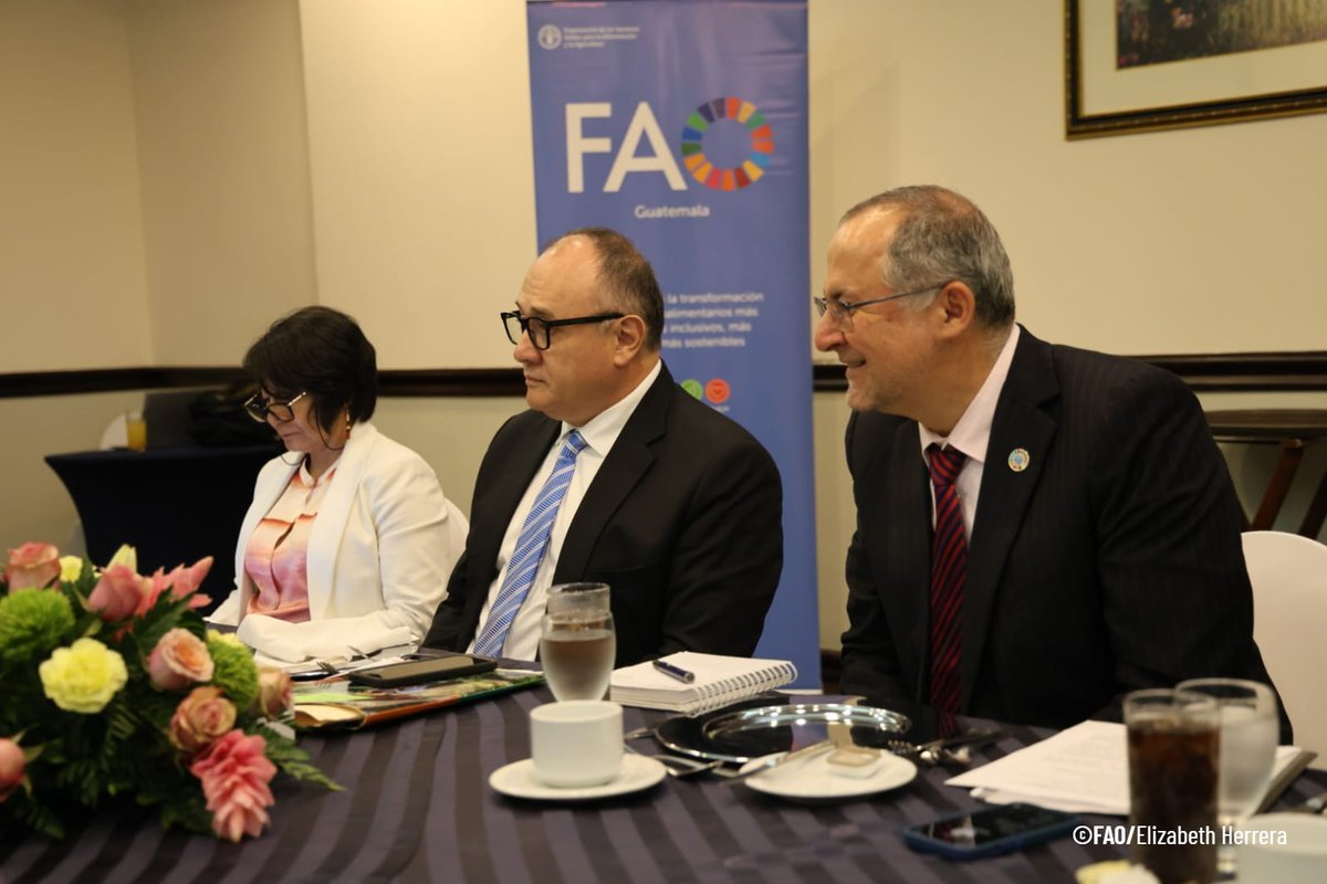 FAOGuatemala's tweet photo. 🔶¡Avanza el Plan Nacional de Desarrollo K’atun! 

El Subdirector General y Representante Regional de @FAOAmericas, René Orellana Halkyer (@FAOAmericasADG), se reunió con autoridades de @Segeplan y @SecretariaSESAN para fortalecer la coordinación y el trabajo conjunto. https://t.co/ihsVKnxjnf