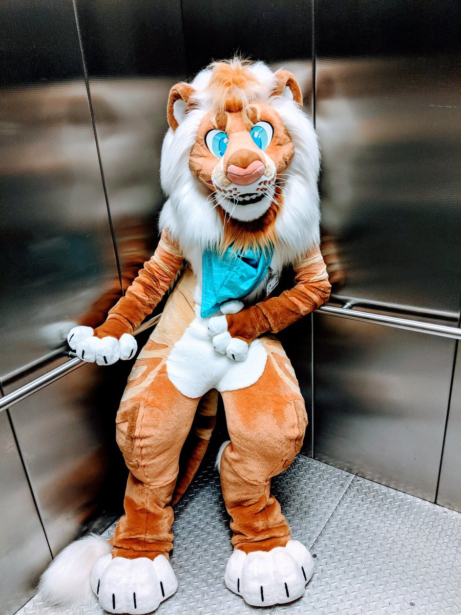 Lyra goin’ to furlandia! tweet media