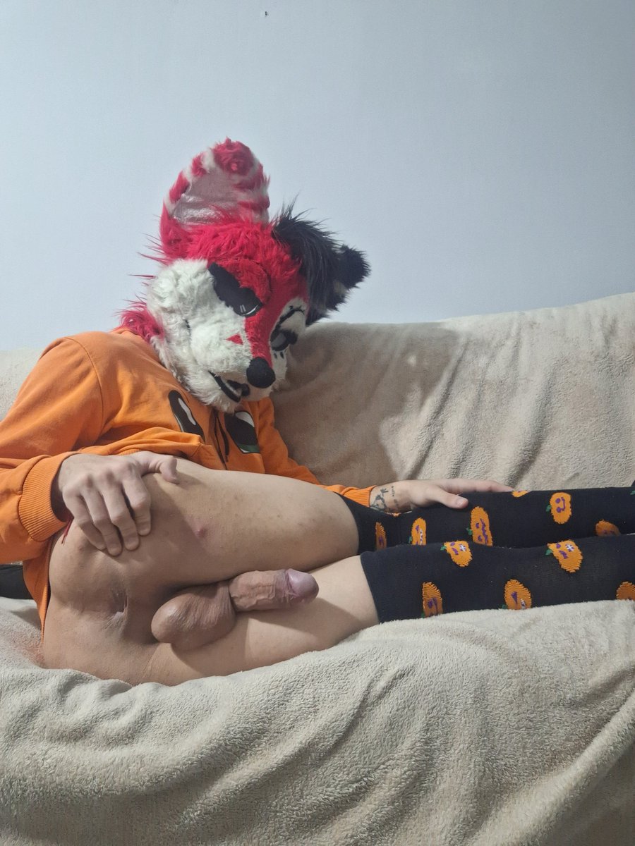 FelixHornyFox's tweet photo. Recién depilado para el #MursuitMonday
.
#FurryAD #NFSW #Mursuit #Mursuiter https://t.co/t6OoYLIIav