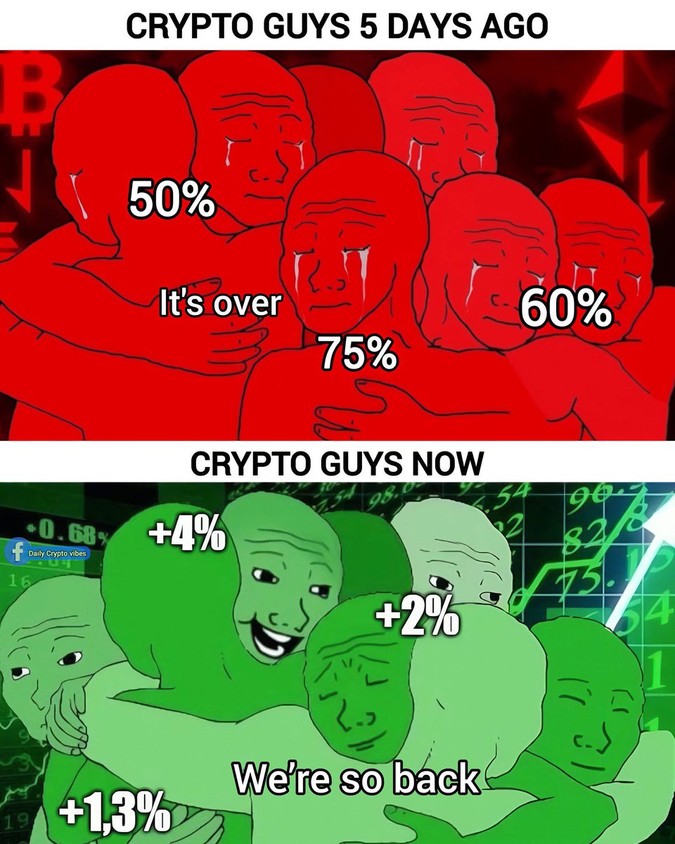 Tooly tweet media