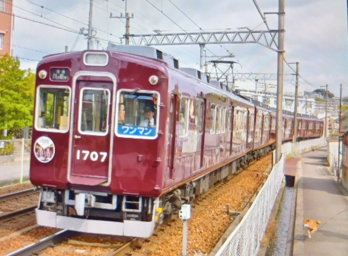 ぼん tweet media