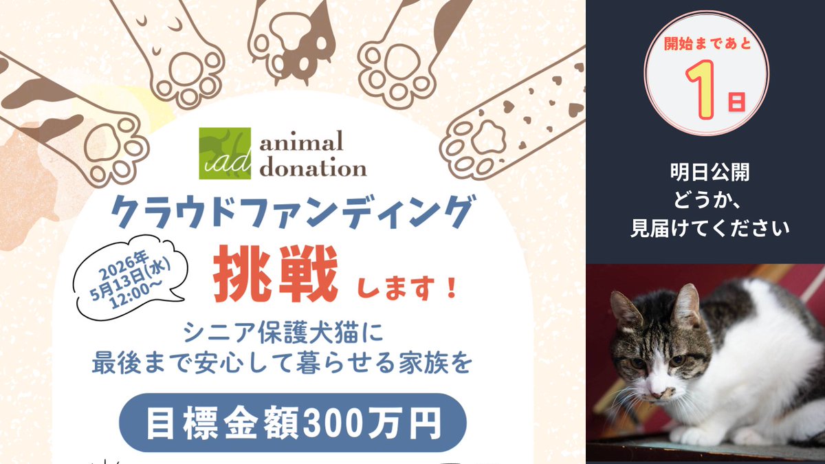 公益社団法人アニマル・ドネーション tweet media