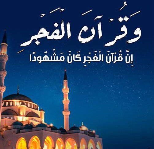 العُمدة tweet media