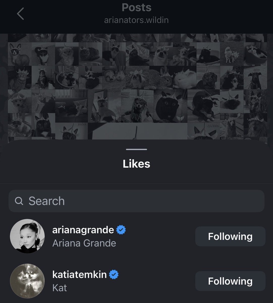 jam | MOVED ARI TO TEARS ꕤ tweet media
