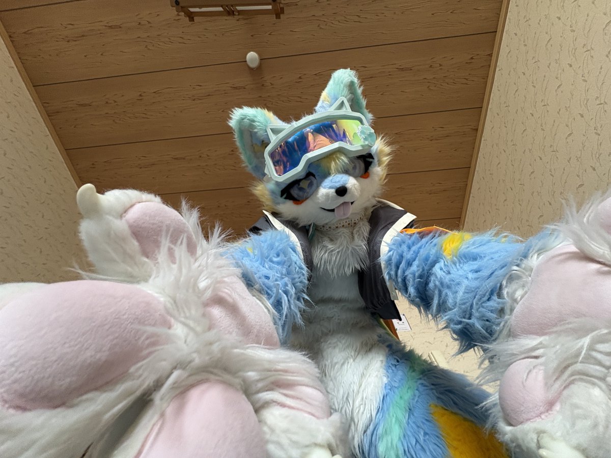 ぬん？起きちゃー？
人間しゃんおハロー✨
#fursuitmorning