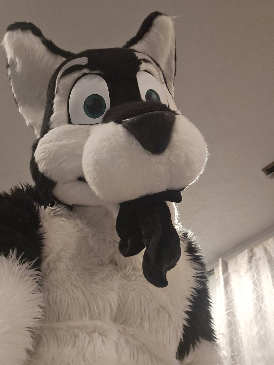 Derphusky tweet media