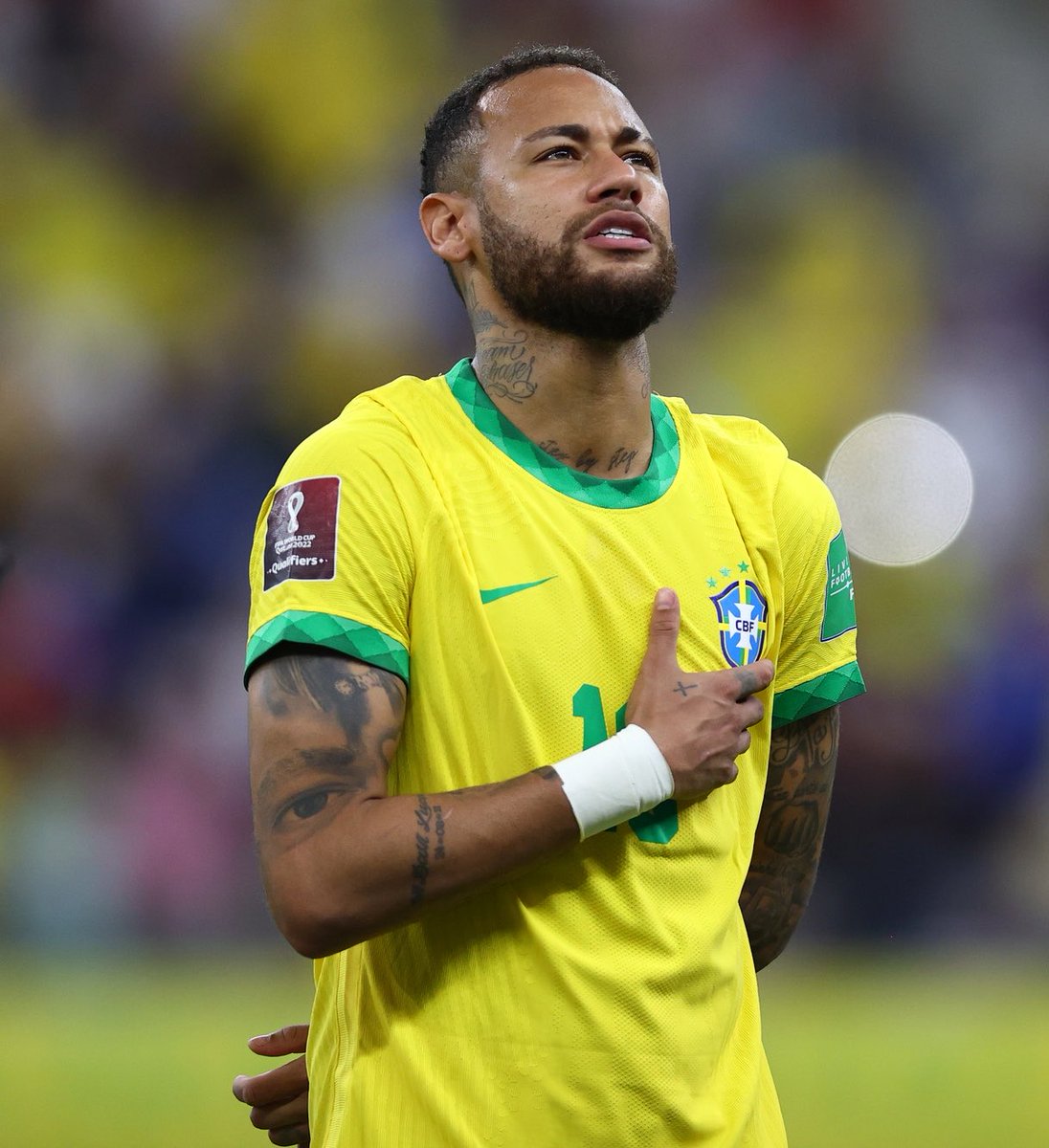 Ginga Bonito 🇧🇷 tweet media