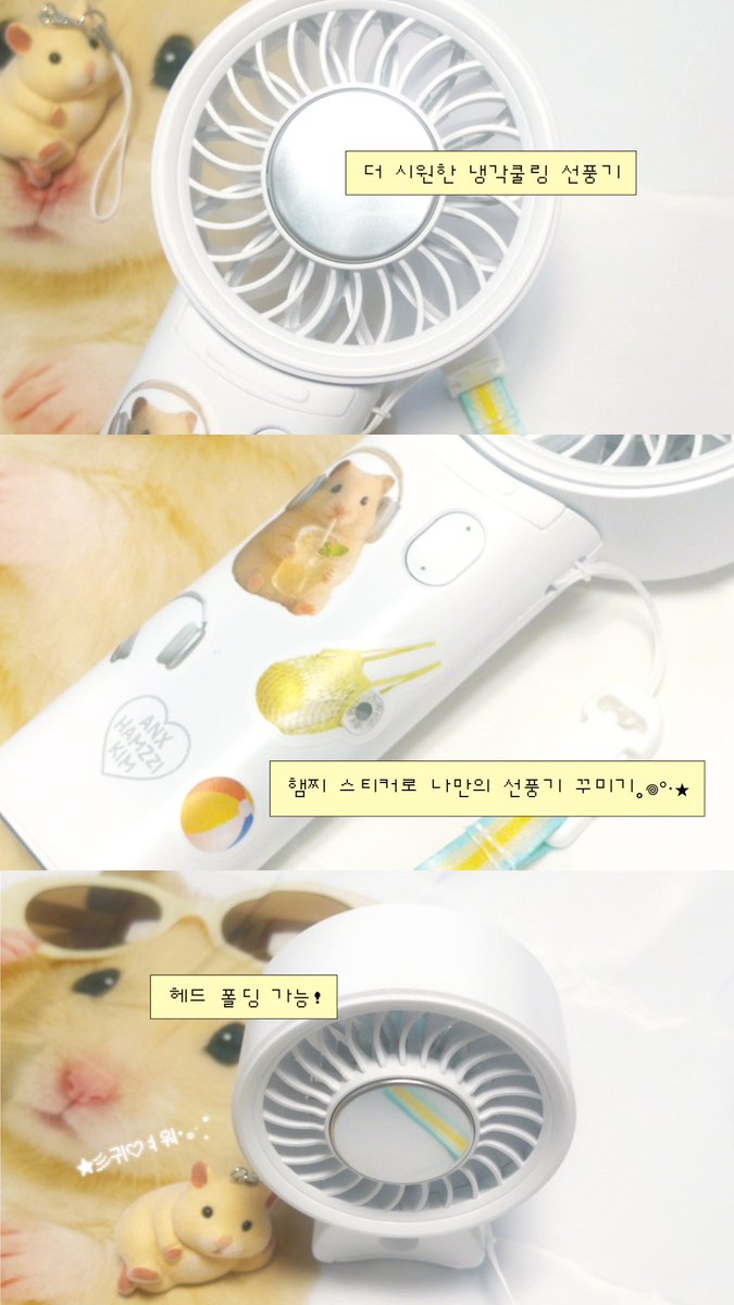 김풀잎 tweet media