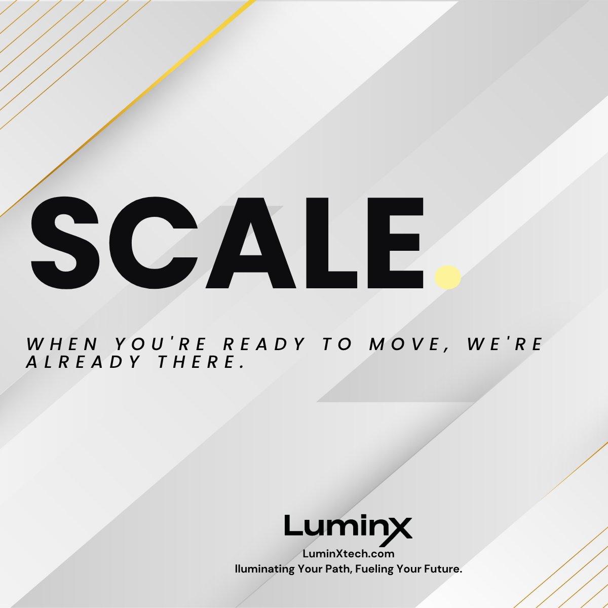 LuminX tweet media