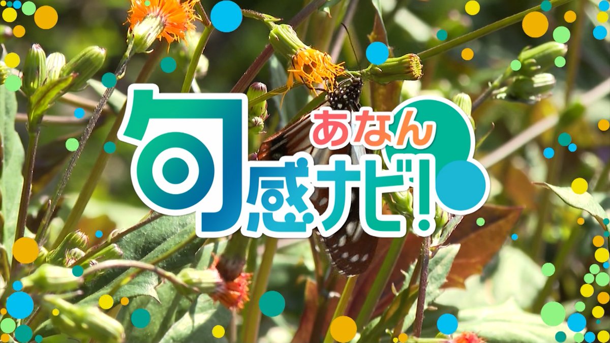 tv_anan's tweet photo. 「旬感ナビ!あなん」が今日の7:00に更新されている
ニョキ!!
今週は阿南市の出来事を4本とイベント情報を2本
お届け☆
放送日時はケーブルテレビあなん『地デジ11ch』
5月12日(火)7:00/12:00/20:00
5月14日(木)7:00/12:00/20:00
5月16日(土)11:00/18:00
みんな視てね☆

#テレビあな
#たけナビ https://t.co/Mkf5SuHx62