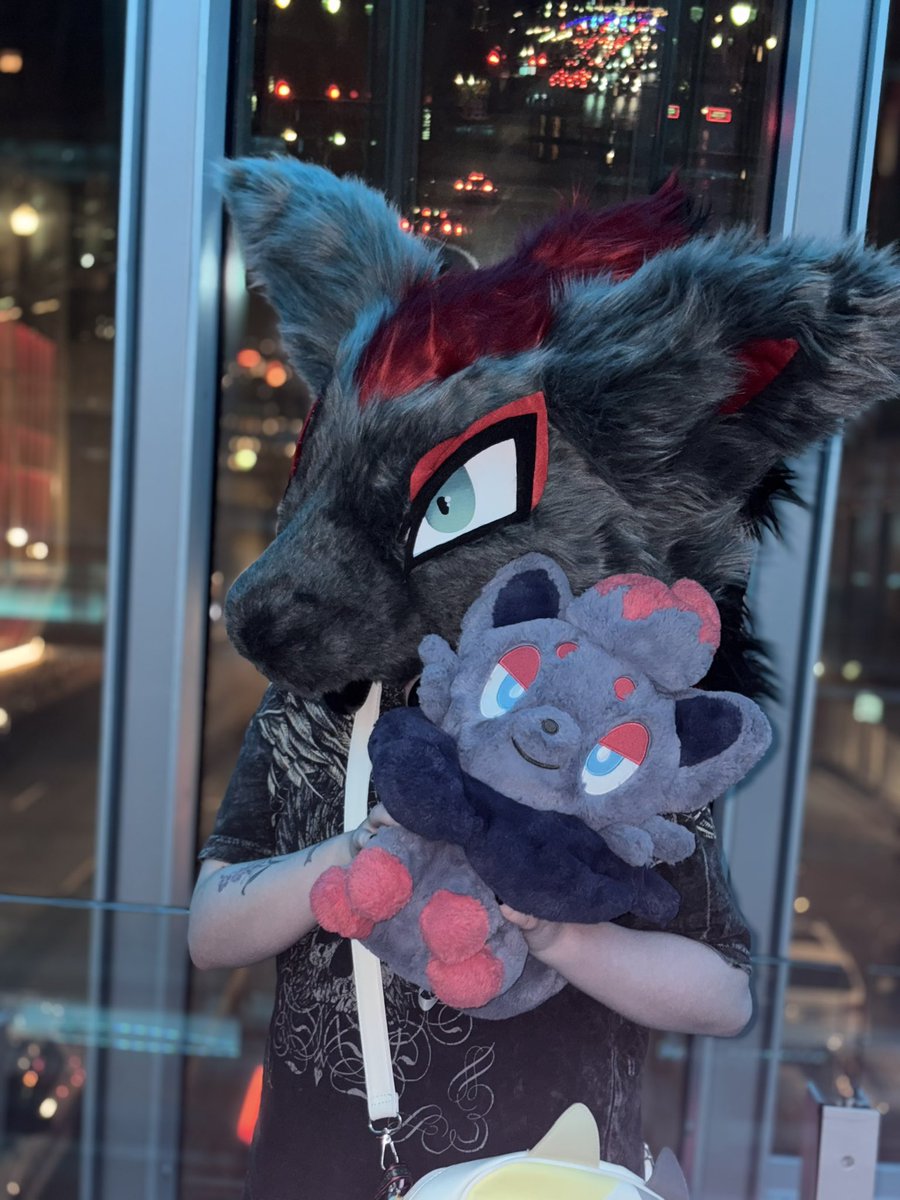 🐾 Nico 🐾 @ Anthrohio tweet media