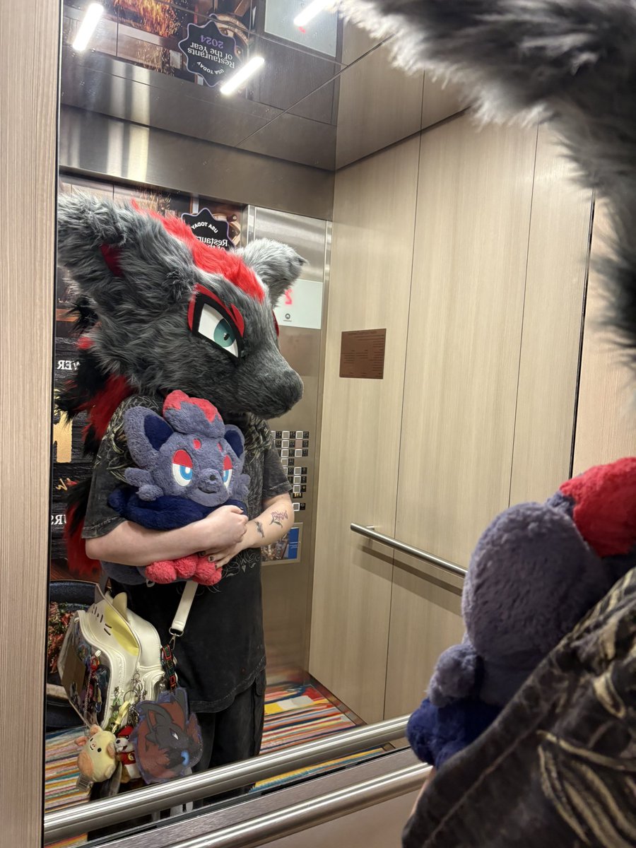 🐾 Nico 🐾 @ Anthrohio tweet media