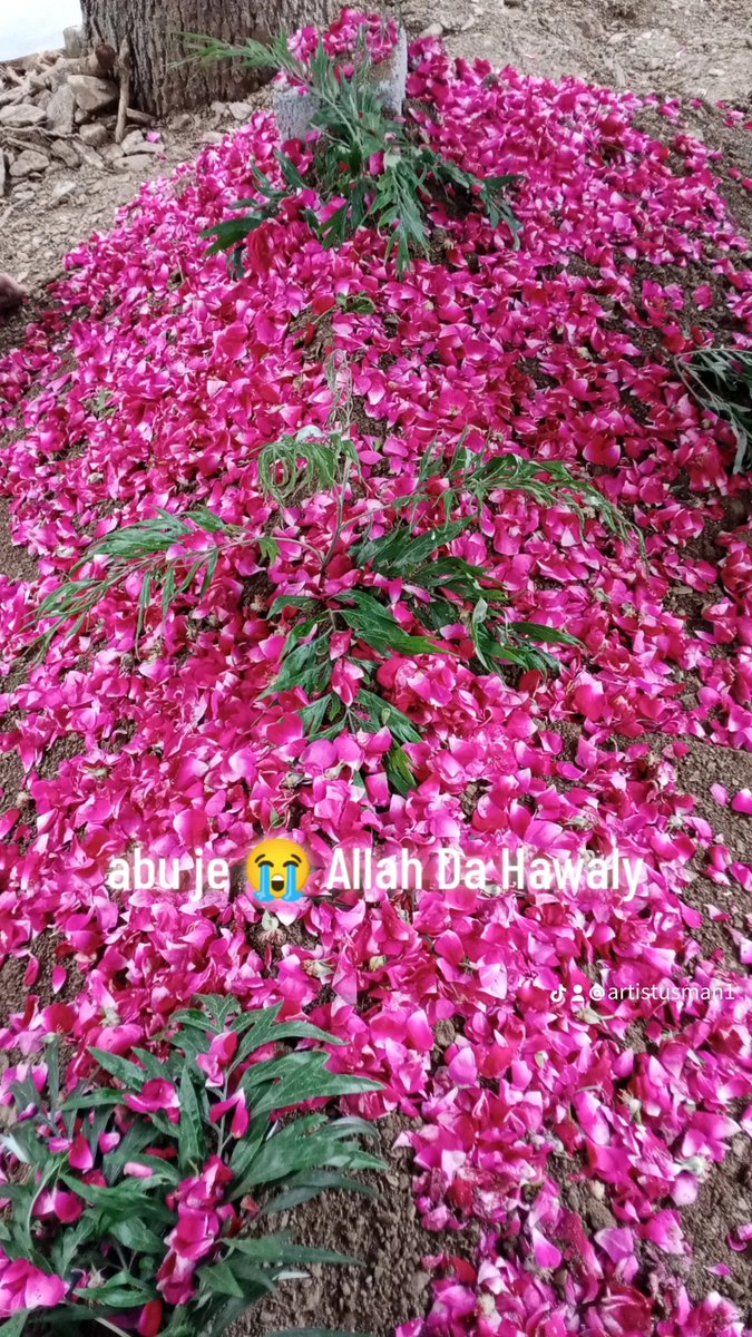 Umuhammad345's tweet photo. Abu je 😭 Allah Da hawaly https://t.co/Tn9Mzxk32X