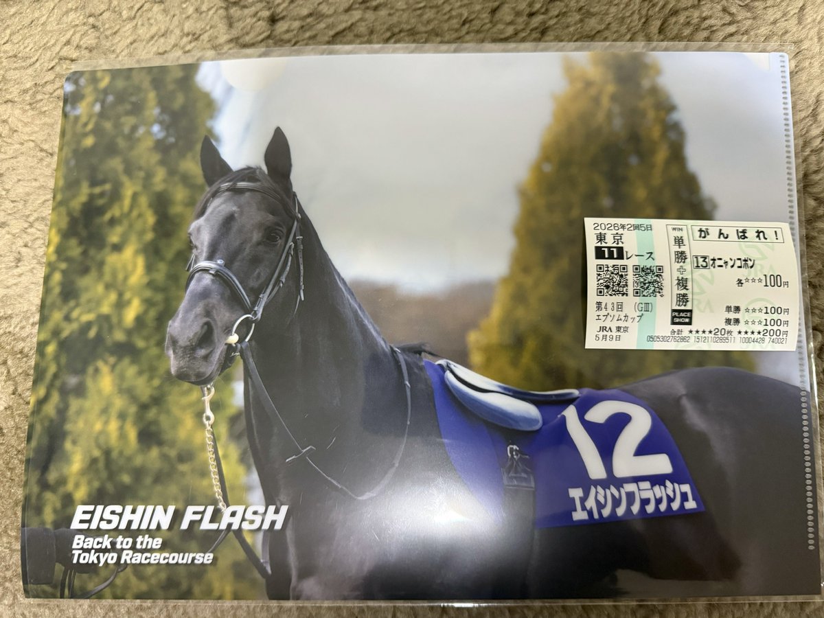 因みにエイシンフラッシュのクリアファイルとオニャンコポンが前日走っ