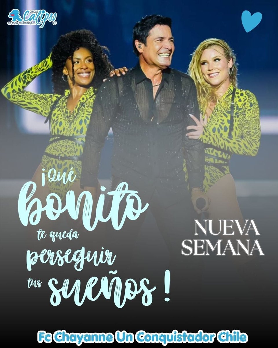 Silvia Fernandez D. tweet media