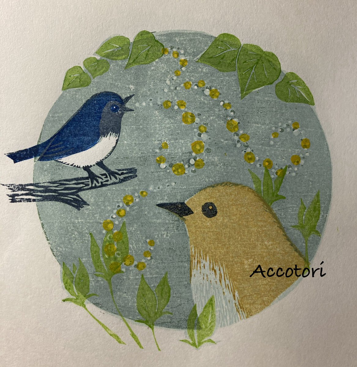 Accotori tweet media