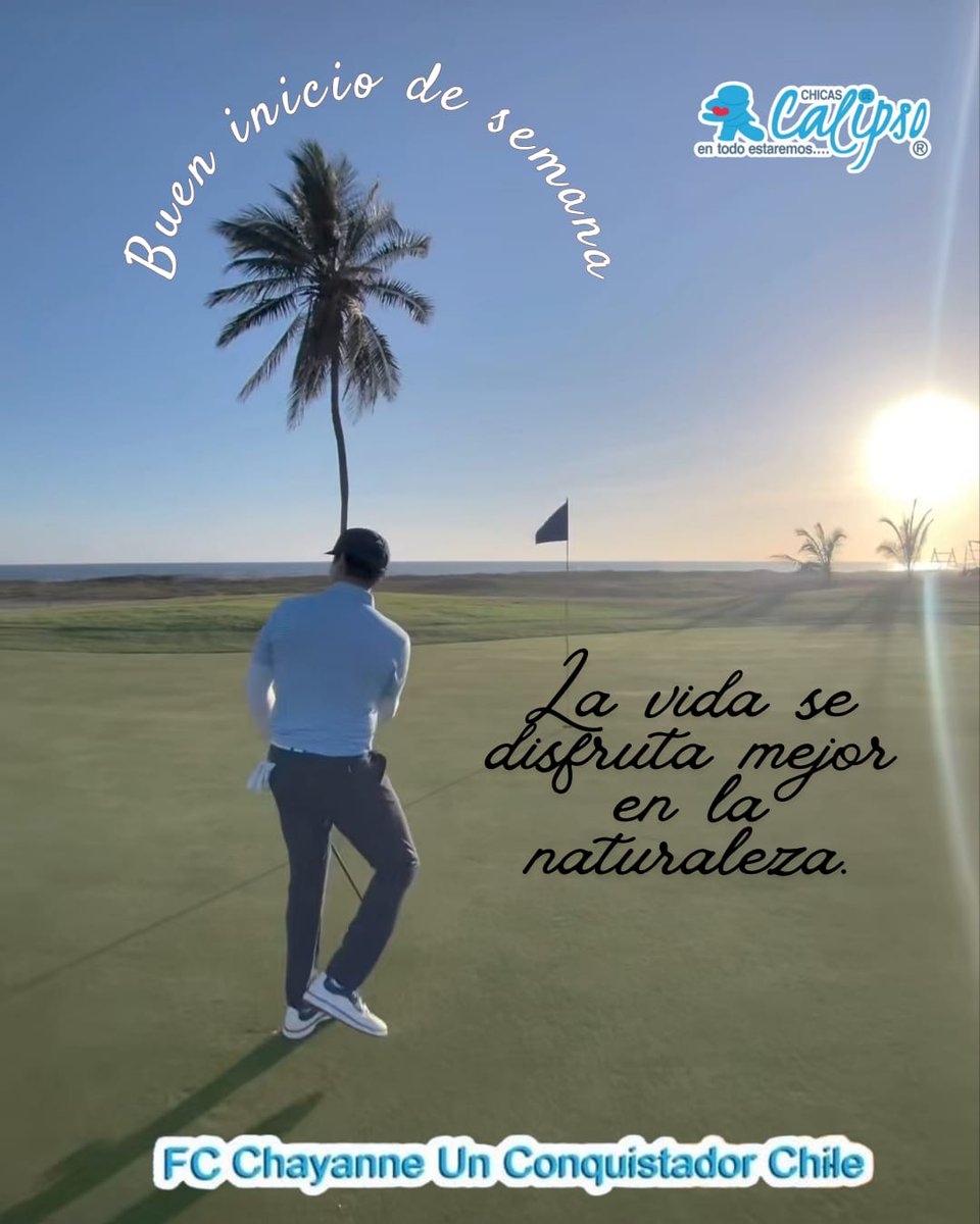 Silvia Fernandez D. tweet media