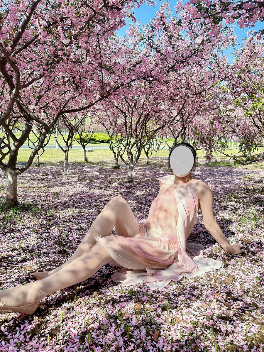 水凝墨了 tweet media