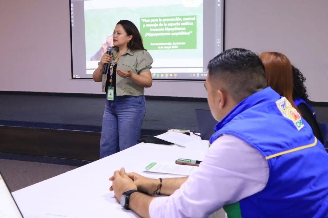 CAS_SANTANDER's tweet photo. #Barrancabermeja | La CAS lideró una mesa técnica con @MinAmbienteCo y otras instituciones sobre el manejo de hipopótamos, articulando acciones para proteger la biodiversidad y los ecosistemas de la región. 🌿🦛 https://t.co/M8f69Ah9lR