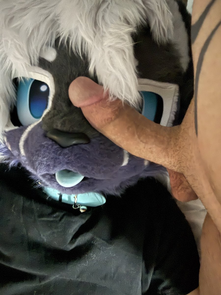OreoCookie 🔜 FWA tweet media