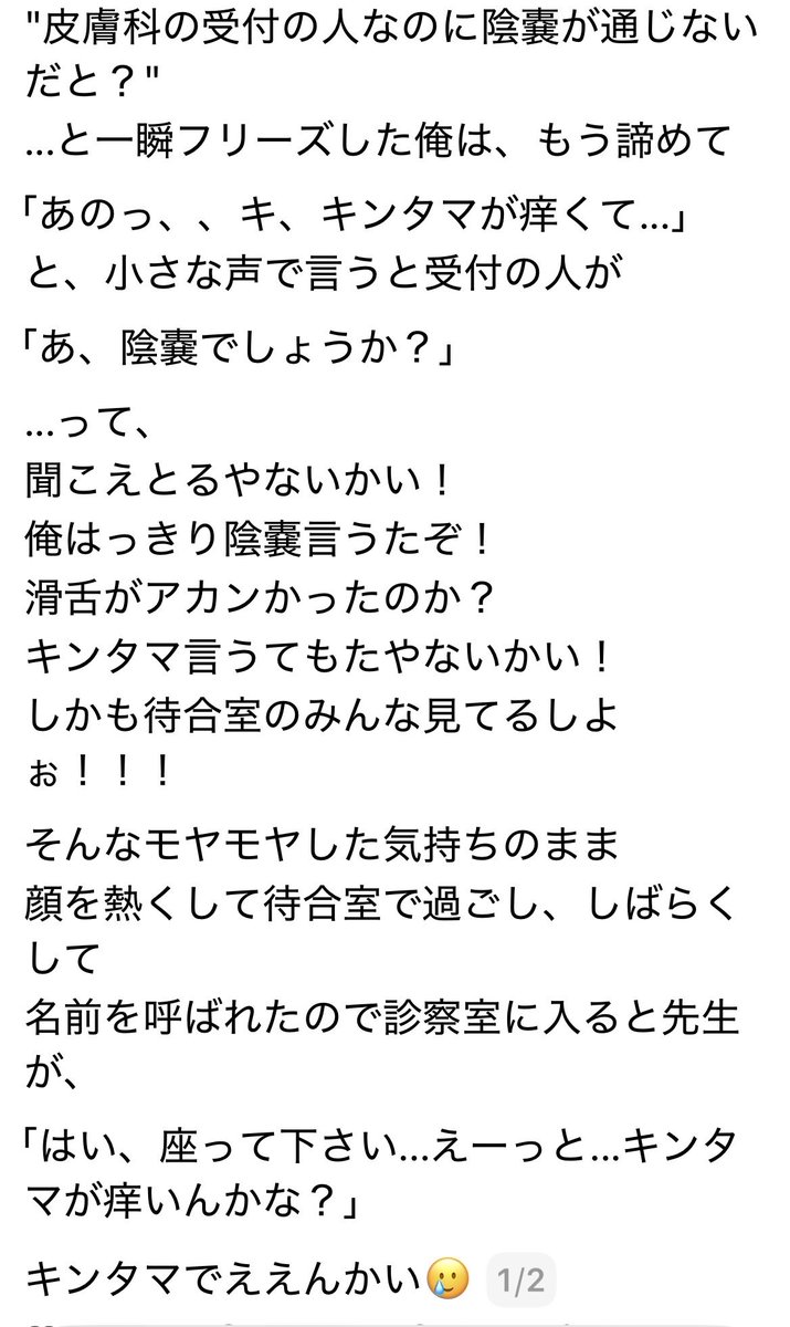 ぽちくんと一緒🐶💎 tweet media