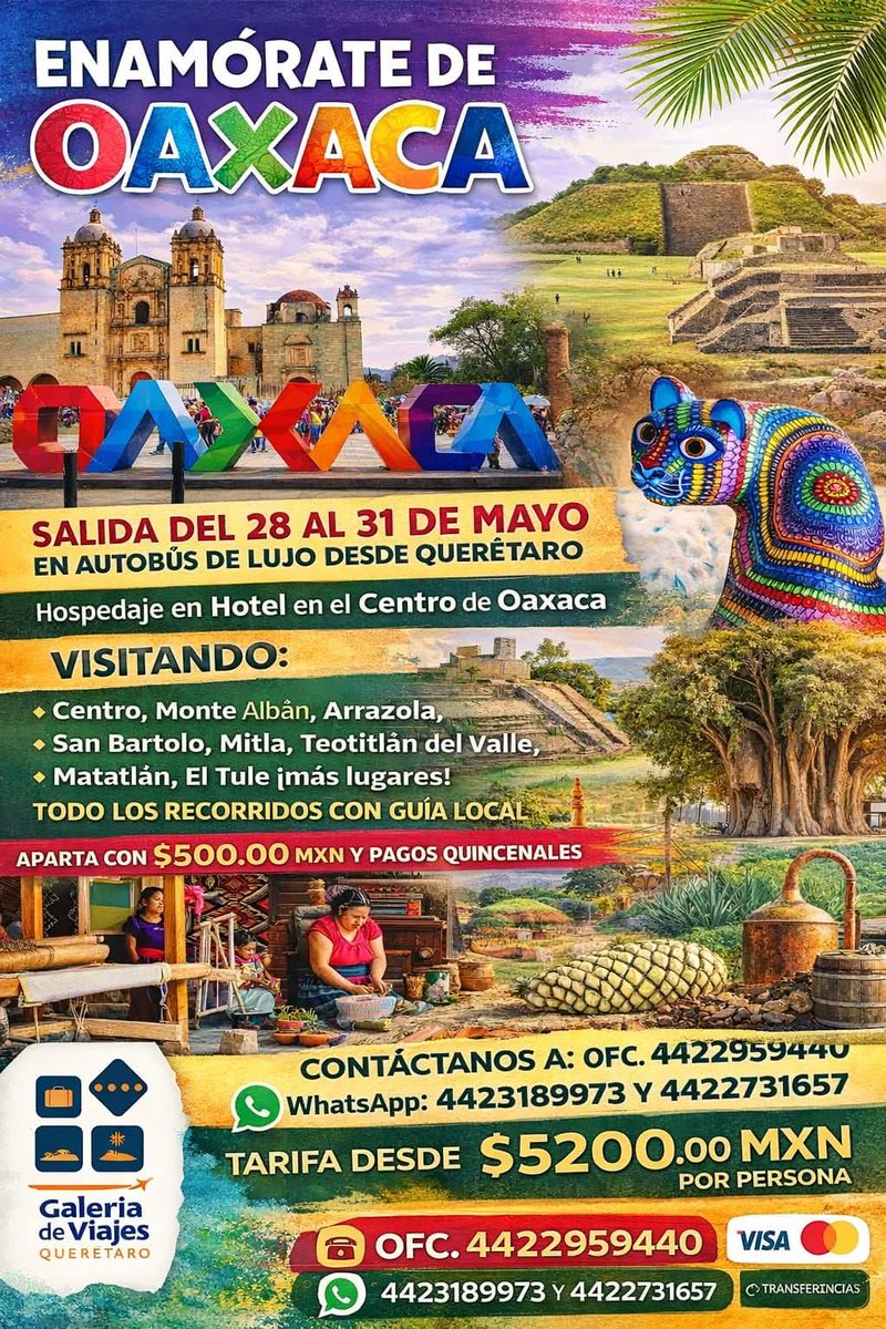 VIAJESQRO's tweet photo. ÚLTIMOS LUGARES A OAXACA
4423189973
jorgebenavides0808@hotmail.com https://t.co/nxvCCQ9oBp