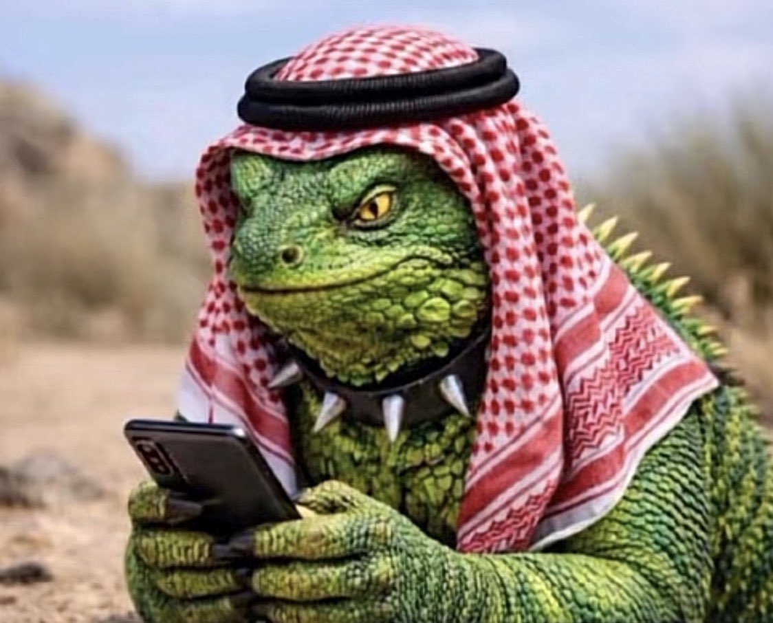 🇦🇪𓃴 ‎عوشہ tweet media