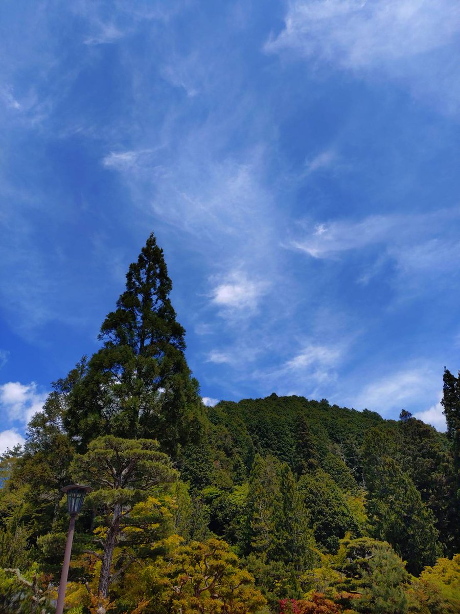 reiseki00's tweet photo. A final journey to the sacred Mt. Koya.
As the blossoms fade, the mountains awaken with fresh greenery. We preserve this serene transition into our "Aoba" and "Wakaba" gems—keeping the peace of this sacred land in your palm forever. #Koyasan #Japan #Aoba #Wakaba #SpringGreen https://t.co/tdF5vEZdx2