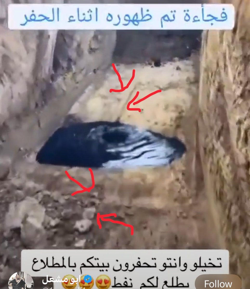 طارق الخلف السعيد tweet media