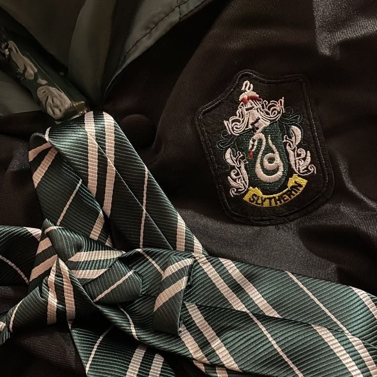 luastri_'s tweet photo. 🧵headcanon de cubitos de qsmp 2 según su casa de hogwarts .✦ ݁˖ https://t.co/iiQVuRsNCJ
