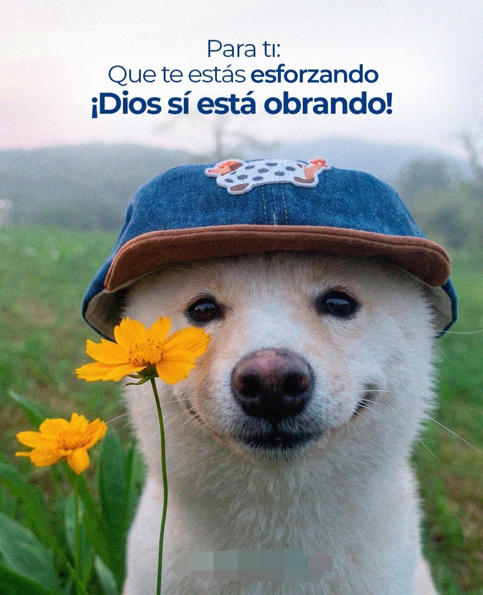 el Siervo (@elsiervo__) on Twitter photo 