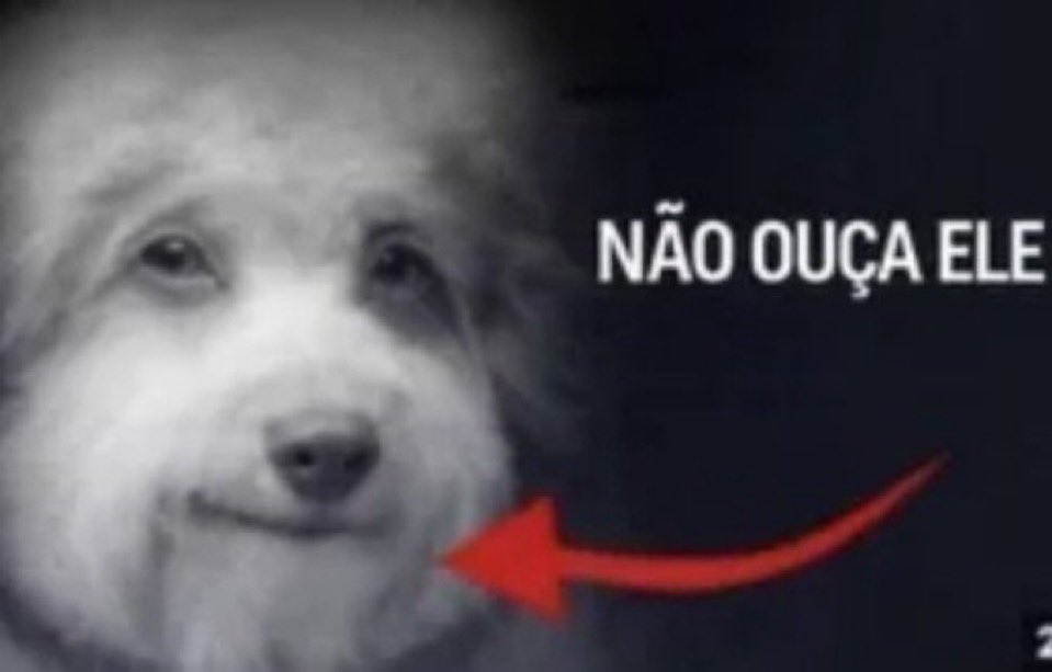 Gabs 🇧🇷 tweet media