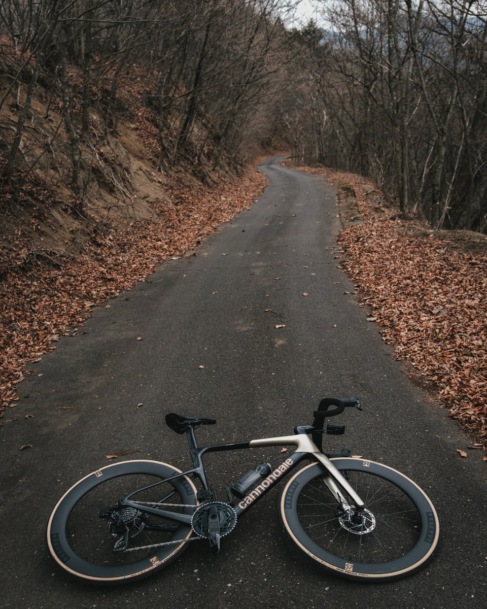 RideCannondale's tweet photo. There's a simplicity to the SuperSix EVO that makes it stand out. Clean lines, balanced handling, and a ride feel that fast in all the right ways.

See the SuperSix EVO at the link: https://t.co/S4ci78thrR

📸 tats_lovecyclist
#ridecannondale https://t.co/lhjAMDJCDN