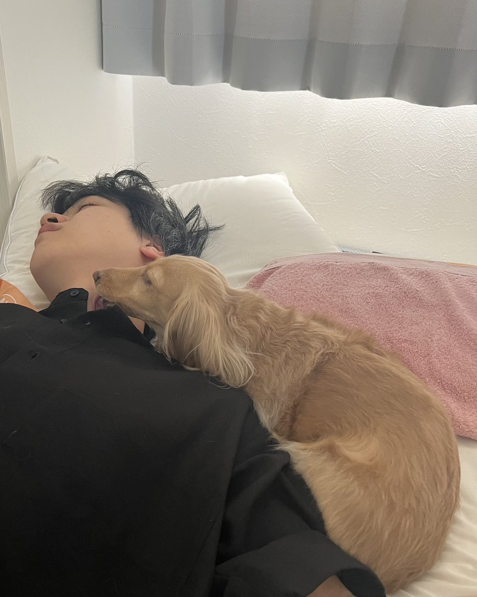 chacha210309's tweet photo. 全然起きないので、
普段はダメって言われてる顔と首舐め放題 https://t.co/DaX0hCa5PQ
